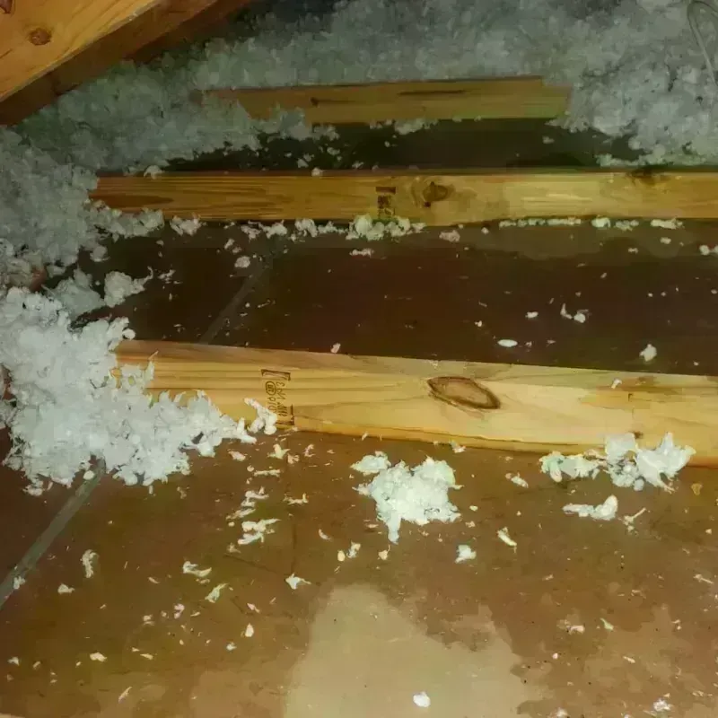 Attic Water Damage in Ridgefield, CT